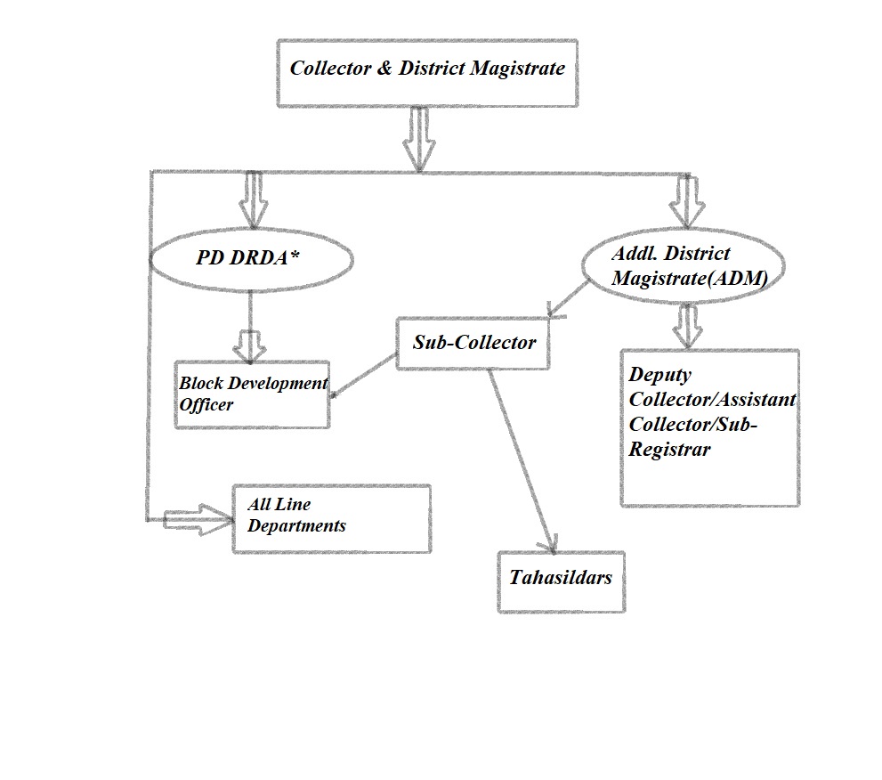 Organisation Chart