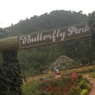 Butterfly Park