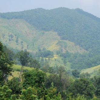 Nature Camp Belghar