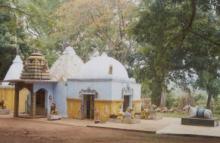 Dungi