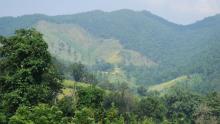 Nature Camp